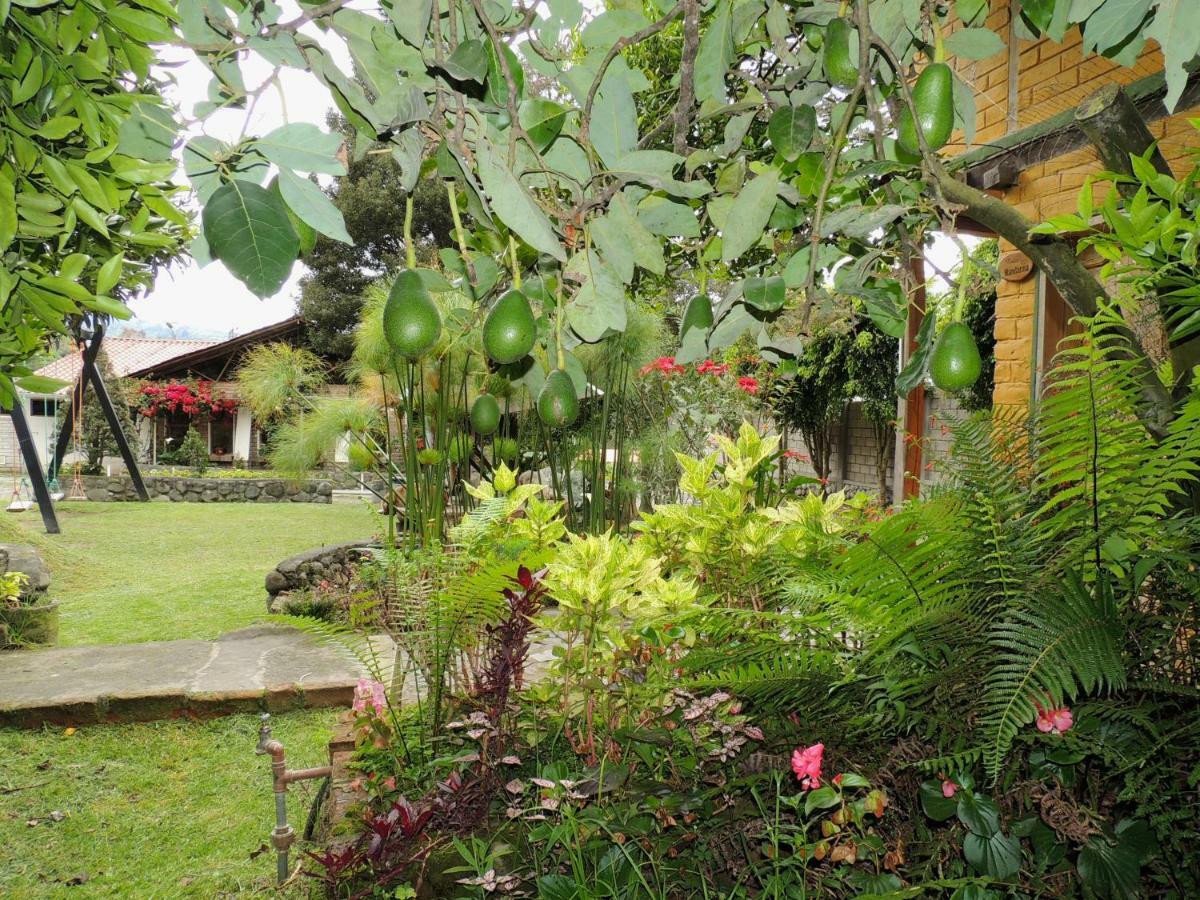 La Casta Hotel Patate Bagian luar foto